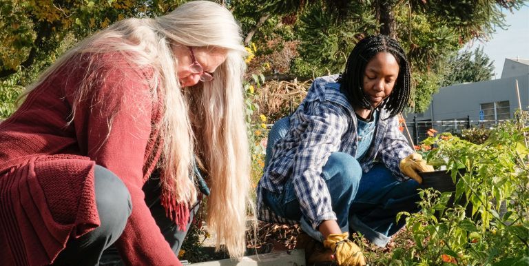 Sustainability at Pacific
