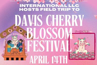 International LLC hosts field trip to Davis Cherry Blossom Festival April 14th