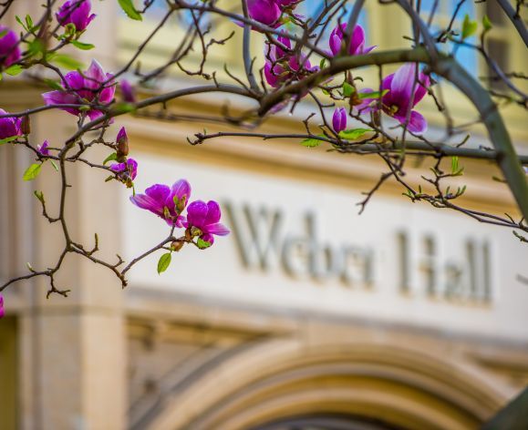 weber hall